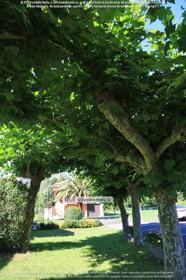 OnísEl Puentin Del Sella Con Wifi Y Parking Gratuito公寓 外观 照片