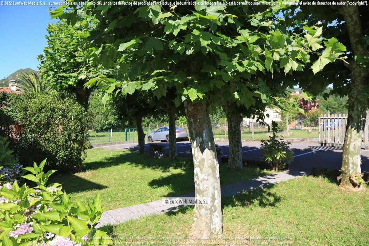 OnísEl Puentin Del Sella Con Wifi Y Parking Gratuito公寓 外观 照片